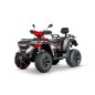 Linhai ATV LH 565 EPS 4x4 Motor 4T 499cc Quad Linhai ATV LH 565 EPS 4x4 Motor 4T 499cc Quad