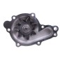 Bomba agua Caterpillar 387-9903 motor C3.3 257D, 259D, 289D