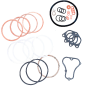 Juego de juntas y estanqueidad completo para reparar motores Minsel y Ruggerini Juego de juntas y estanqueidad completo para reparar motores Minsel y Ruggerini