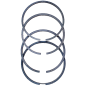 Juego segmentos Minsel Ruggerini RD, RF y MD Juego segmentos Minsel Ruggerini RD, RF y MD