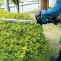 Cortasetos de altura Makita a batería LXT 18V 50 cm DUH506