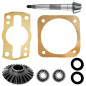 Kit piñón cónico inferior CI antiguo parcial motoazadas Agria 7000
