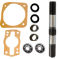 Kit eje salida carter inferior CI antiguo motoazadas Agria 7000