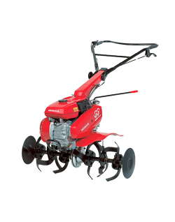Motoazada motor Honda F506 - 3 +1 marchas