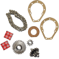 Kit piñones y cadena 50 transmisión Motocultor Agria 3000