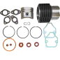 Kit cilindro pistón juntas originales 6 LD 400/435 B1
