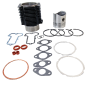 Kit cilindro piston para motores Lombardini LDA100, 4LD705