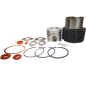 Kit cilindro y pistón para motor Lombardini 6LD 360