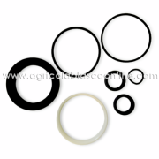 kit reparacion bomba hidraulica pasquali big