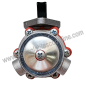 Bomba combustible motor Diter D302, D303,  Agria 9900, 9945
