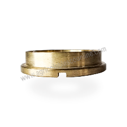  530009532 bronce frontal Bertolini Bomba pistones fumigar Tratamientos pulve