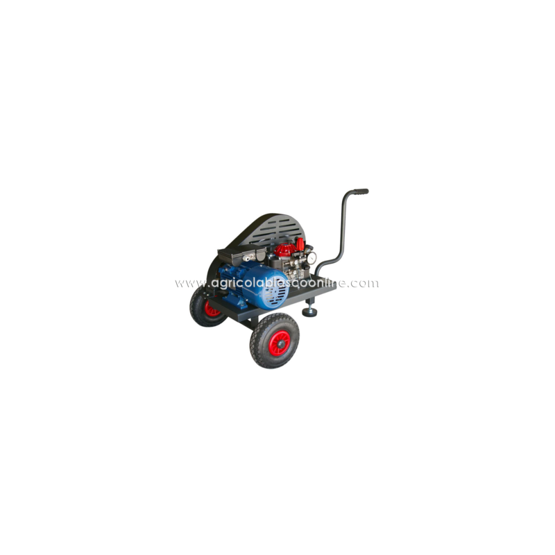 carrito bancada 2 ruedas M30 3 CV monofasica poleas big
