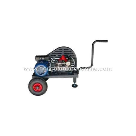 Carrito Bancada 2 ruedas bomba Imovilli M30 3CV motor electrico monofásico a poleas