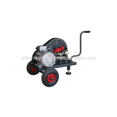 Carrito Bancada 2 ruedas bomba Imovilli M50 motor electrico trifásico a poleas Carrito Bancada 2 ruedas bomba Imovilli M50 motor electrico trifásico a poleas