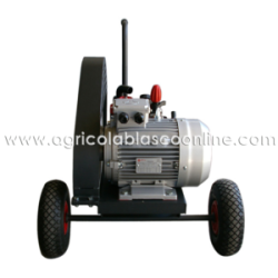  carrito bancada 2 ruedas M50 5 5CV trifasico a poleas big