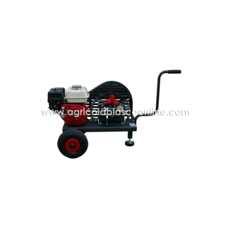 Carrito Bancada 2 ruedas bomba Imovilli M50 motor Honda GX160 a poleas