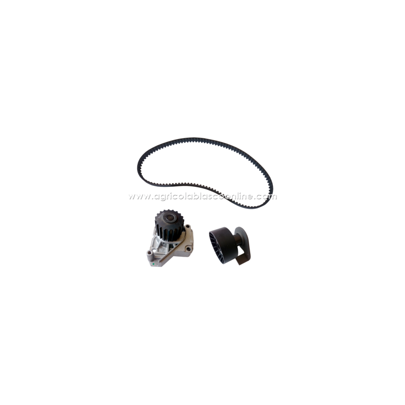 Kit correa distribucion coche sin carnet lieger lombardini microcard LDW502