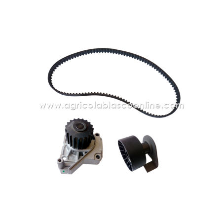 Kit correa distribucion coche sin carnet lieger lombardini microcard LDW502