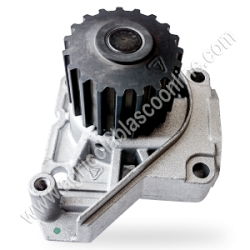 Bomba agua Lombardini LDW 502 M3 montada en microcar