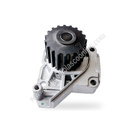 Bomba agua Lombardini LDW 502 M3 montada en microcar