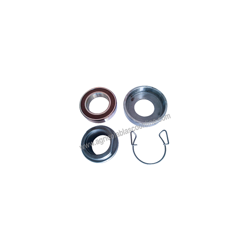 Kit cojinete 991 1 1 big