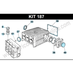  Kit187 731028973 Juntas Toricas Retenes Reparacion Bomba Bertolini Pistones