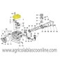 Culata bombas Bertolini PA330 PA430