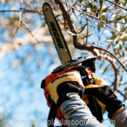  MTSCS280T MOTOSIERRA ECHO CALIDAD POTENCIA PODA corte madera lena Lumbre 4 1