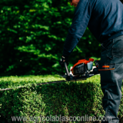  CTSHCR165ES Cortasetos Echo honda jardin setos poda cuchilla 3 big