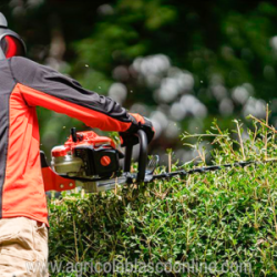  CTSHC2020 Cortasetos Echo honda jardin setos poda cuchilla 4 big