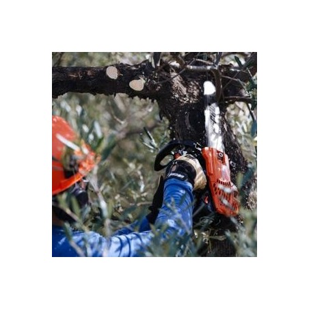 Motosierra de poda profesional ECHO CS 2511 TES