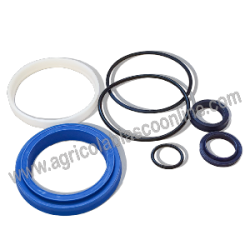 KIT REPARACION DE BOTELLA HIDRAULICA PASQUALI 986 980 996 991