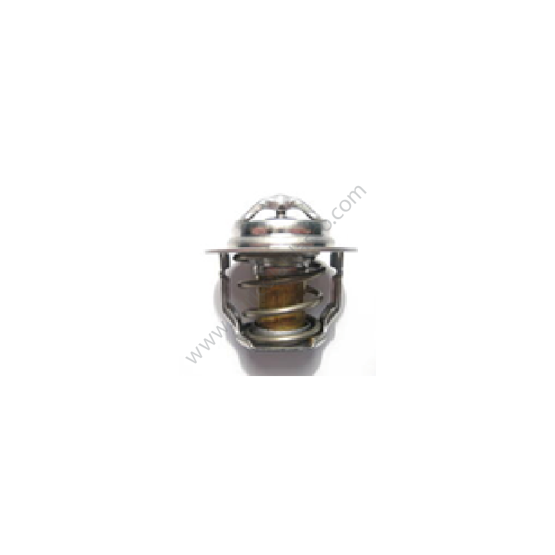 kubota_termostatos_kubota 1