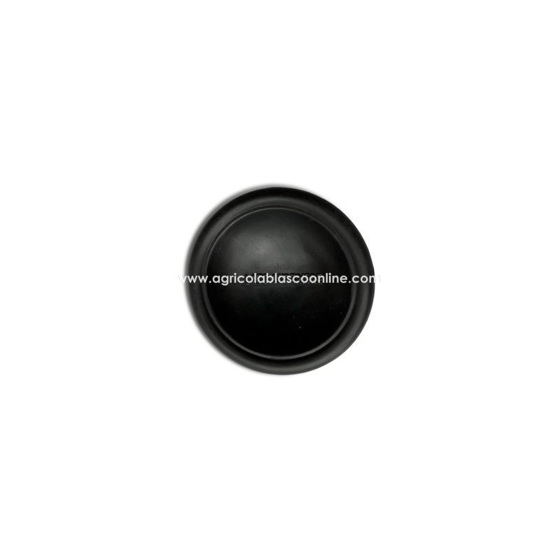 membrana RVY 055 bomba comet 1800 1 repuesto agricola blasco big