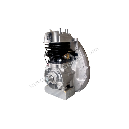 Motor Gasolina Minsel M150 / M165 - Completo - Giro Izquierda