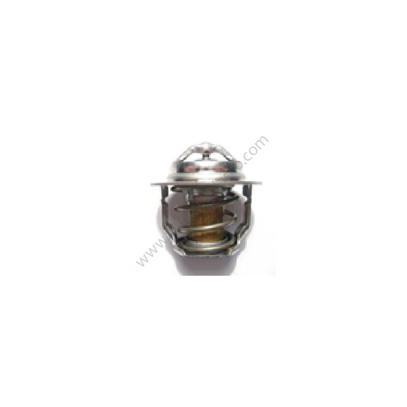 kubota_termostatos_kubota copia 6 1