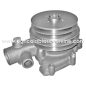 Bomba agua tractor Ebro E110 / M100 / M125 / P112 / P160 / P317