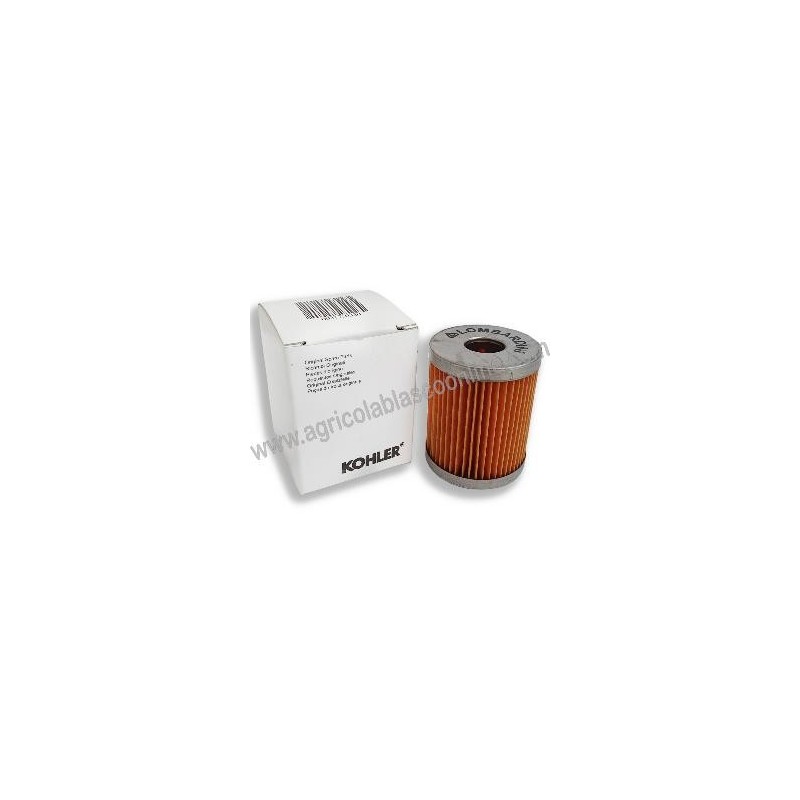 CARTUCHO FILTRO GASOIL LOMBARDINI 6LD big