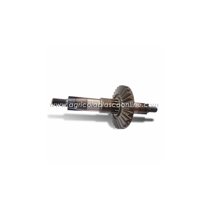 pinon corona rotovato pasquali web big