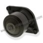 BOMBA AGUA CASE, MC CORMICK, NEW HOLLAND, STEYR