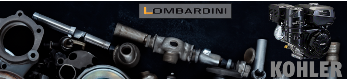 Todo el recambio para reparar tu motor Lombardini Kohler