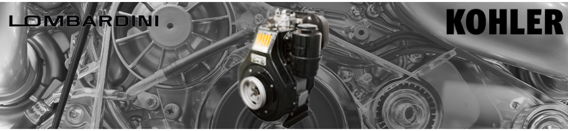 Recambio para tu maquinaria o motor Lombardini Kohler
