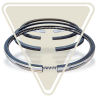 Segmentos Lombardini